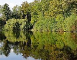 Read hotel reviews and choose the best hotel deal for your stay. Wanderdreiklang Eppingen Zum Jagersee Und Zur Kopfrainhutte Gps Wanderatlas