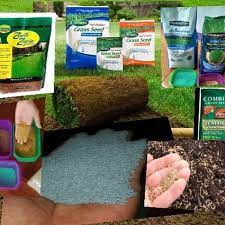 Ingin rumput tetap hijau bertahun tahun tanpa pemupukan, pemangkasan bahkan tanpa penyiraman sama sekali rumput akan tetap terlihat hijau dan indah. Benih Biji Rumput Taman Dan Lapangan Shopee Indonesia