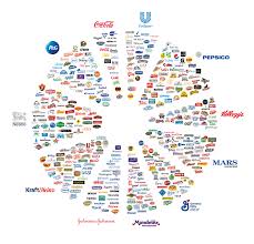 Camembert Finances Personnelles Phrases De Motivation Marketing Numerique