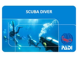 Padi Scuba Diver Course Anthias Divers