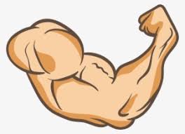 Find & download free graphic resources for cartoon arms. Muscle Arm Png Transparent Muscle Arm Png Image Free Download Pngkey