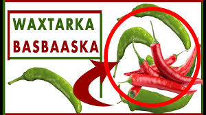 3 day diabetic meal pl. Waxtarka Basbaaska Faaidada Basbaaska Youtube