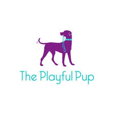 Petancia pet care, chennai, india. The 10 Best Pet Sitting Specialists In Chennai Last Updated June 2021 Starofservice