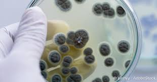 Gegen viren helfen antibiotika nicht. Penicillin Wirkung Anwendung Nebenwirkungen Netdoktor