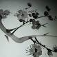 Sumi-e Spiritual: Introduction to Sumi-e Painting event image