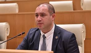 Yeni təhsil naziri Qivi Mikanadze hansı əmlaka sahibdir?