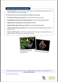 A simple, effective, and environmentally friendly way to keep pests away from your fruit trees and garden. Josephine Teo Bats In Flats Residents From Blk 14 Facebook
