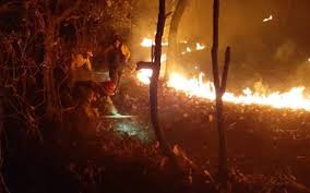 Opiniones de usuarios, precios, datos de contacto, horarios de apertura de palabra clave equipos contra incendio con sede en guadalajara. Este Domingo Hubo Tres Incendios Forestales En La Zmg El Occidental Noticias Locales Policiacas Sobre Mexico Guadalajara Y El Mundo