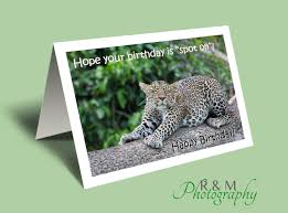 Leopard Birthday Card Leopard Funny Birthday Card Funny Etsy Funny Birthday Cards Leopard Birthday Birthday Humor