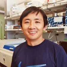UNM's Peng Mao receives $1.6M grant for DNA repair research