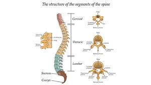 illinois workers comp back neck shoulder settlements