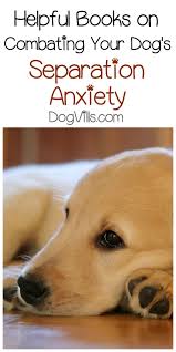 This will help to adjust his nocturnal sleep cycle where he's more tired at night. 3 Helpful Books On Combating Your Dog S Separation Anxiety