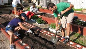 Next, cover the area with a clear plastic tarp that's been cut to the desired size of your new garden space. 5 Ways To Start A Community Garden Hobby Farms