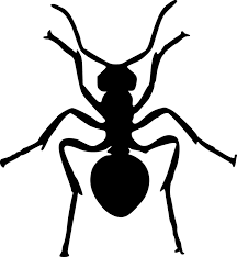 Internet buat penyedia bermacam berita yang melimpah pasti harus kita gunakan. Free Photo Animal Letter A Insect Ant Silhouette Max Pixel