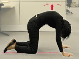 What purpose do camels' humps serve? Exercises For A Healthy Back Advanced Osh Answers