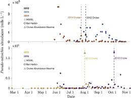 Pseudo Nitzschia Bloom Dynamics In The Gulf Of Maine 2012