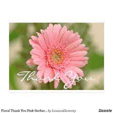 Floral Thank You Pink Gerbera Daisy Flower Postcard Zazzle Com In 2021 Pink Gerbera Gerbera Daisy Daisy Flower