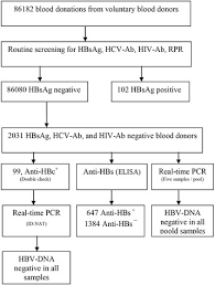 Flow Chart Of Laboratory Process In Hbsag Negative Blood