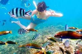 Snorkeling At A Beach Paradise Redang Island Malaysia Redang Island Beach Paradise Malaysia Travel