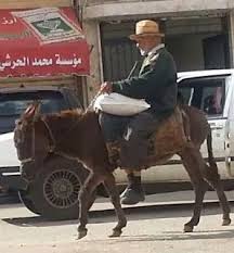 مدونة رد الإعتبار إلى الحمير أسماء الحمار Riding Helmets Riding Cowboy Hats