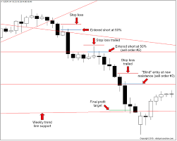 Forex Pyramid Trading Case Study Daily Price Action Trading Charts Forex Trading Strategies