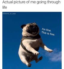 Pin By Mary Puckett On Greatest Pictures Ever Funny Memes Funny Memes