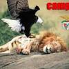 We facilitate you with every benfica free stream in stunning high definition. Https Encrypted Tbn0 Gstatic Com Images Q Tbn And9gctcx1qwzpv0hhxcar3lq4ehtaexlx0ge Ksheigrsjvtrvo73vf Usqp Cau