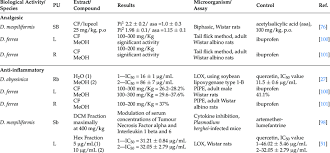 Image result for Diospyros loureiriana