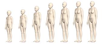 Detailed Body Growth Charts Virtual Avatar Size Sets Alvanon
