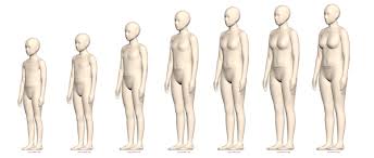 detailed body growth charts virtual avatar size sets alvanon