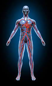 Hydrotherapy is just a fancier way of saying a good soak. 3 Exercises That Improve Your Blood Circulation Fitness 19 Gyms