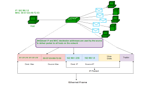 Introduction Of Mac Address In Computer Network Geeksforgeeks