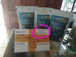 Obat Anti Lumut Kolam Ikan Koi Claykoi Muna Barat Obat Pembasmi Lumut Kolam Ikan Koi Claykoi Musi Banyuasin Agar Air Kolam Ika Di 2020 Kolam Ikan Kolam Penjernihan Air