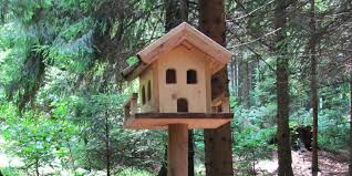 Und deshalb bauen wir es lieber gleich selbst. Vogelhaus Selber Bauen Bauanleitung Und Tipps