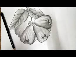 Gambar mewarnai buah buahan segar color book fruit coloring dapatkan bermacam contoh kertas lukisan buah buahan untuk mewarna cara menggambar dan mewarnai buah buahan untuk anak menggunakan Cara Menggambar Model Buah Buahan Mudah Youtube