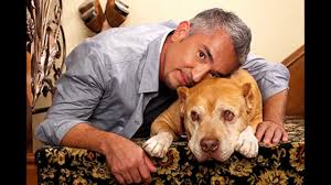 By continuing to use our website, you agree to our use of such cookies. Tribute To Daddy Cesar Millans Beloved Dog Junior His Heir Youtube