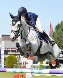 Baryard started to ride at the age of six and went on to be a very accomplished show jumper. Malin Baryard On Top In Falsterbo Equnews International