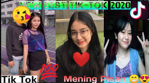 Tik Tok 2020 Indonesia Savage Tiktok 2020