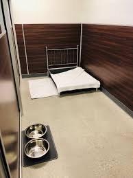 Serving tehaleh, bonney lake and the surrounding area. Las Vegas Pet Boarding And Grooming Tails Pet Resorts