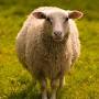 Profile Picture of Mendip hills National Landscape benjamin-sander-bergum ... (@mendiphills-nl.org.uk) on Google
