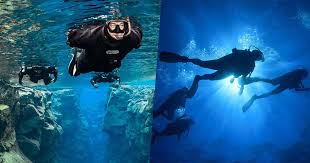 Snorkeling Vs Diving Adventures Com