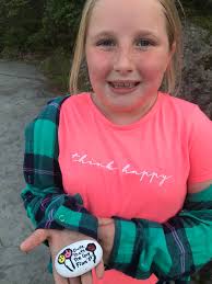 Hidden rocks in Harmony Grove by morning