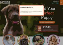 Petland encourages the highest quality of pet care and is committed to improving conditions for all dogs in the communities the company serves. Petlandfrisco Com At Wi Petland Frisco Texas Pet Store Buy Puppies Pets Supplies