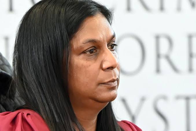Fresh 'serious' allegations pull Andrea Johnson back to Madlanga commission