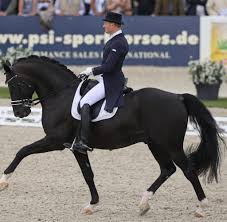 Enjoy the grand prix of the fei world cup™ dressage from amsterdam. Dressurreiten Wunderpferd Totilas Feiert Perfektes Comeback Welt