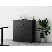 Maybe you would like to learn more about one of these? Fireproof Filing Cabinets You Ll Love In 2021 Wayfair