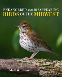 Birds Of Central Oregon Book Endangered And Disappearing Birds Of The Midwest Ebook Endangered Birds Midwest