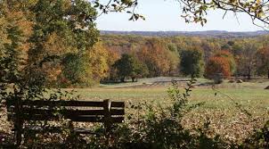Compare 4 hotels in germantown using 1151 real guest reviews. Search Retreats Online A Worldwide Directory Of Yoga Spiritual Religious Nature Health And Wellness Retreats