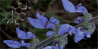 Image result for Equilabium