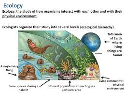 Biotic And Abiotic Factors In An Ecosystem Slideshare Ecology Ecology The Study Of How Organisms Interact With Each Other And With Their Physical Environmen Animal Adaptations Physical Environment Running In Snow